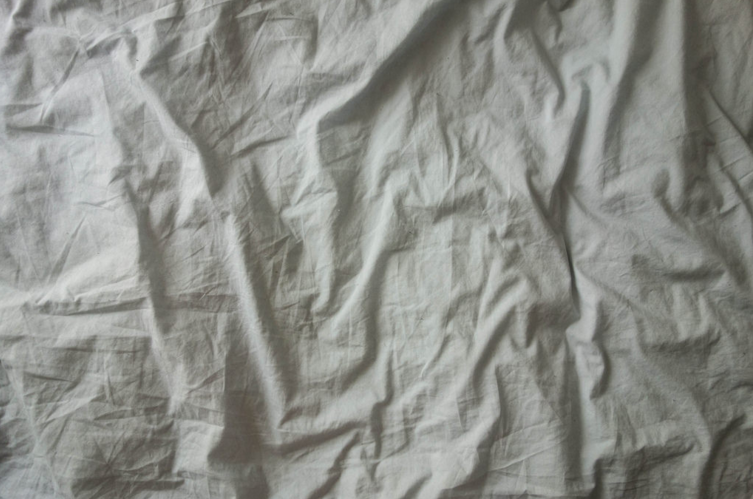 Bed Bugs in Institutions – Part 6