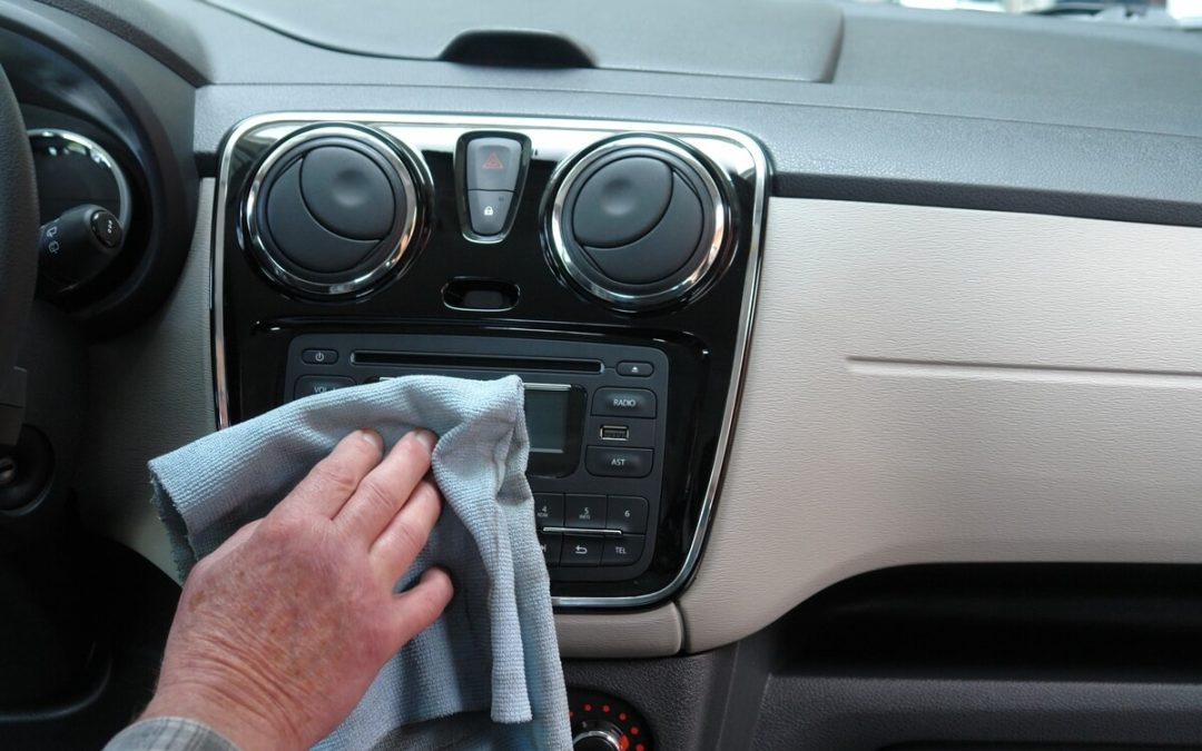Why Do I Have Ants in My Car, and How Do I Get Rid of Them?