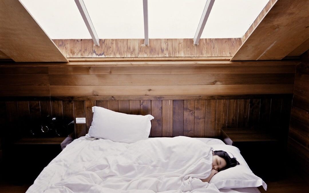 Most Common Pests in the Bedroom
