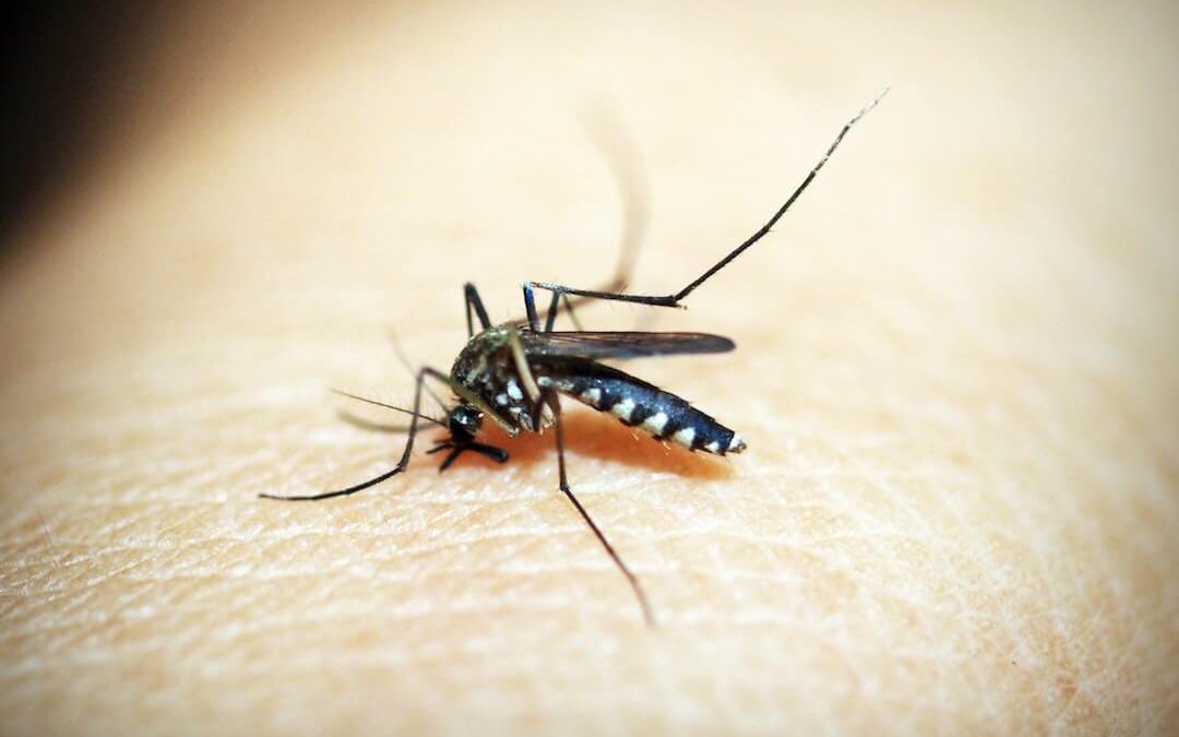 How to Protect Yourself During Mosquito Season in Indiana